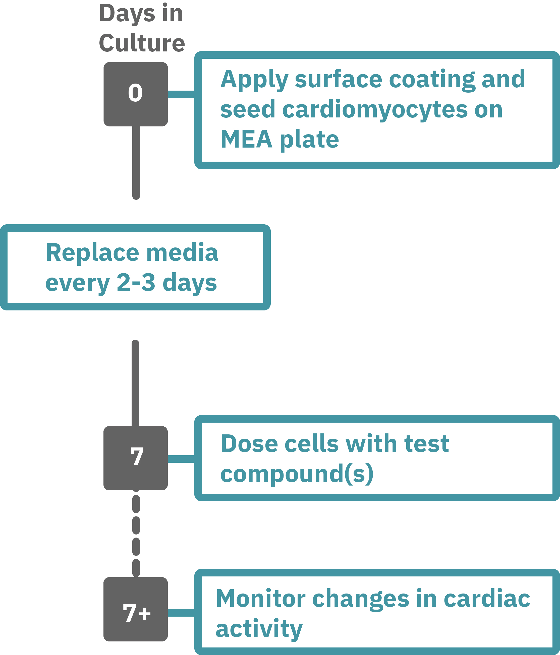 Cardiotoxicity and Safety | Axion Biosystems